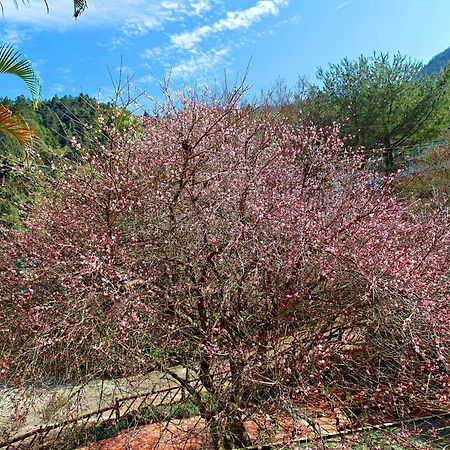 Li Jin Kuan Homestay หนานจวง ภายนอก รูปภาพ