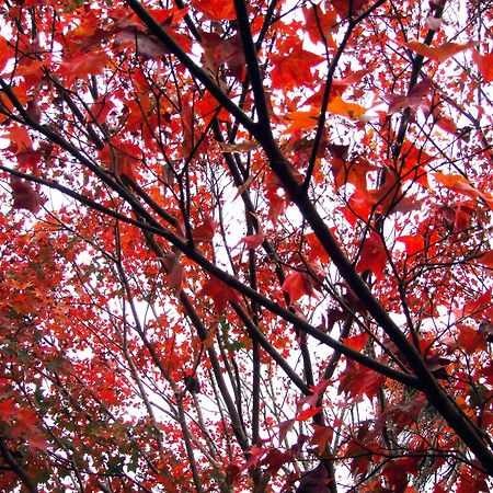 Li Jin Kuan Homestay หนานจวง ภายนอก รูปภาพ