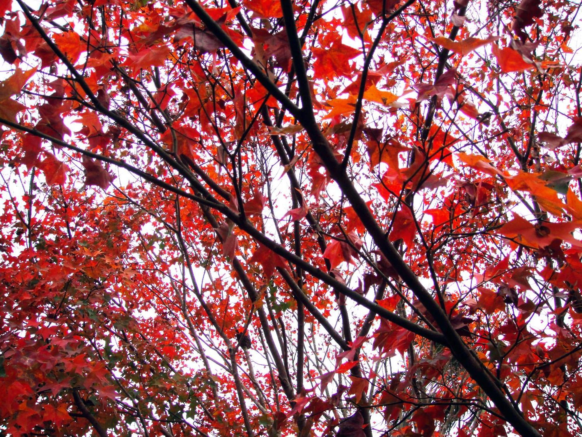 Li Jin Kuan Homestay หนานจวง ภายนอก รูปภาพ