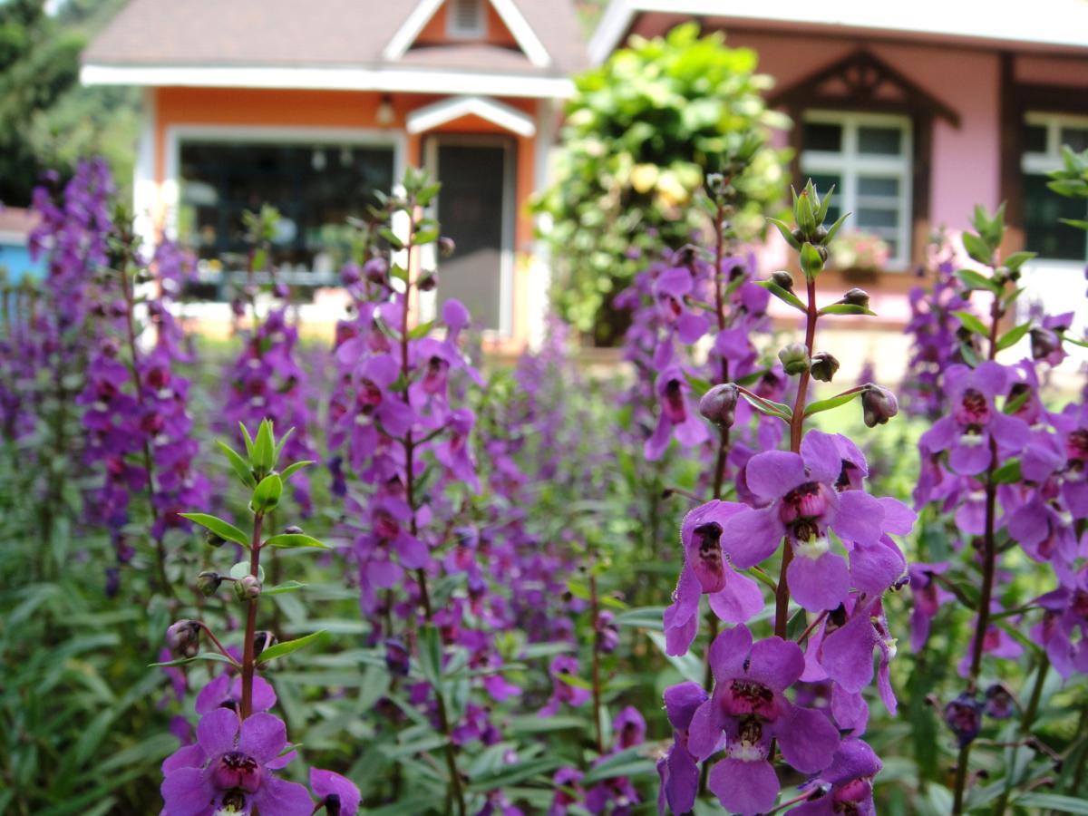 Li Jin Kuan Homestay หนานจวง ภายนอก รูปภาพ